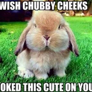 Meet your Posher, Jay